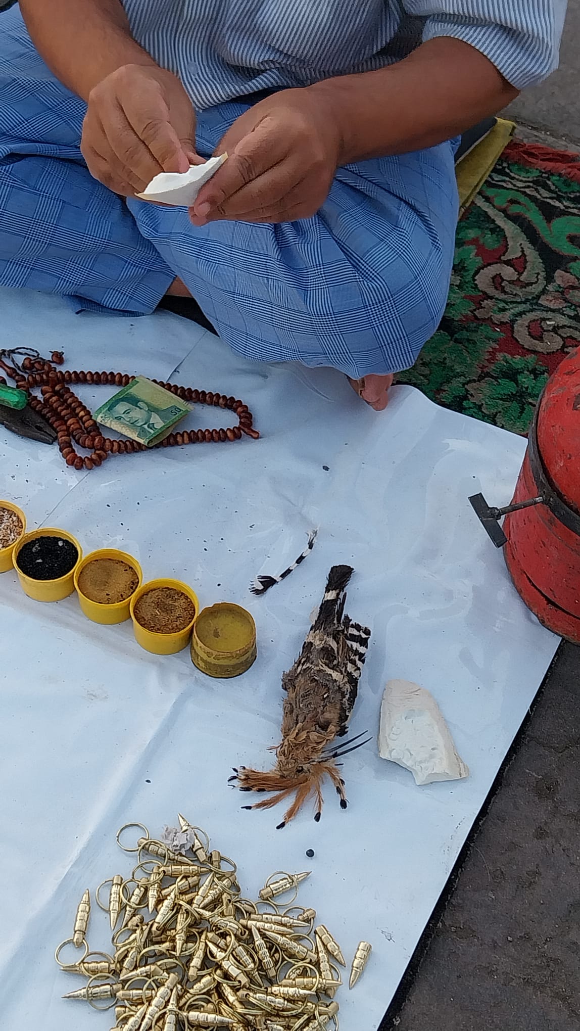 El hechicero de Jemaa el Fna peparando amuletos con la abubilla muerta al lado.