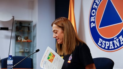 La directora general de Protección Civil, Virginia Barcones, en una rueda de prensa tras la reunión del Comité Estatal de Coordinación (CECOD) contra incendios.