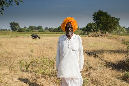 Las familias granjeras de Wardha, en la región de Vidarbha (este del estado central de Maharashtra) viven décadas de crisis agrícola. Su miserable salario anual no llega a los 600 euros.