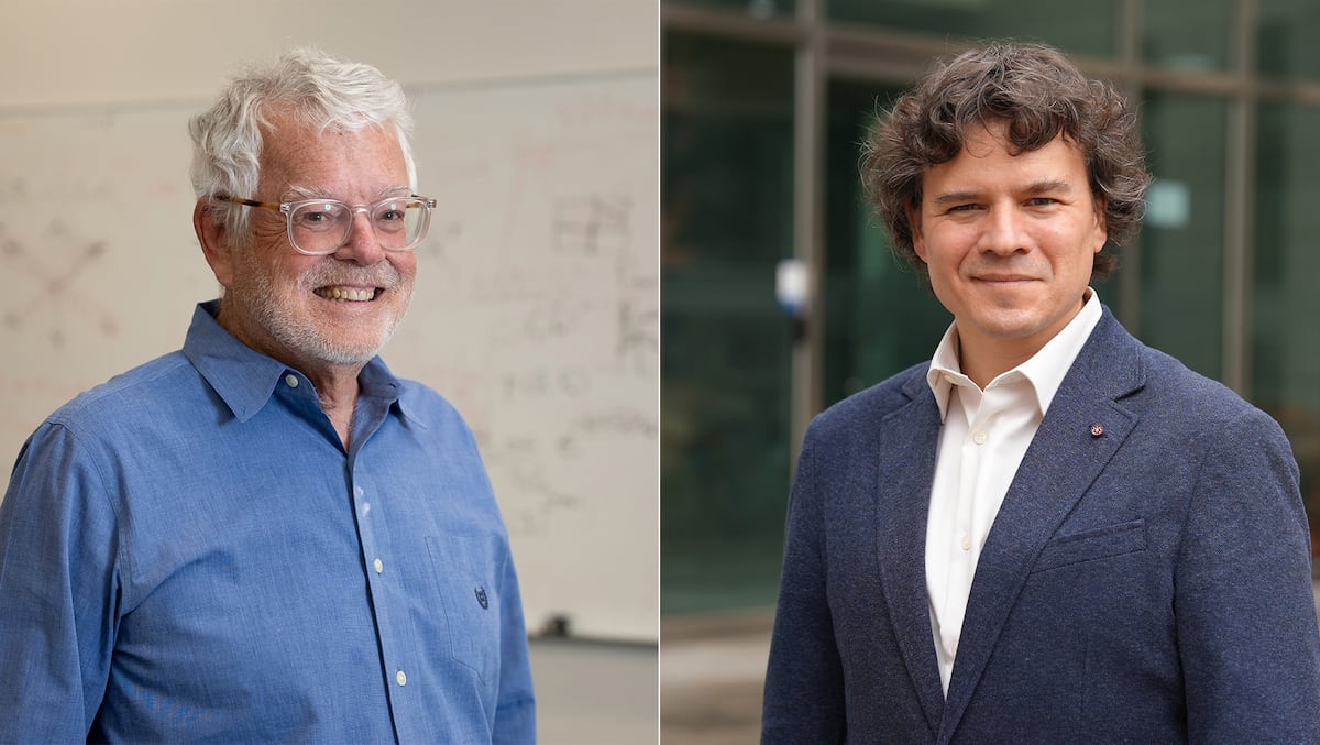 Premio Fronteras para los descubridores del ‘ángulo mágico’ que genera supermateriales