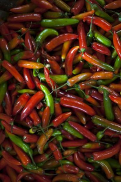 Chiles en el mercado de la Merced.