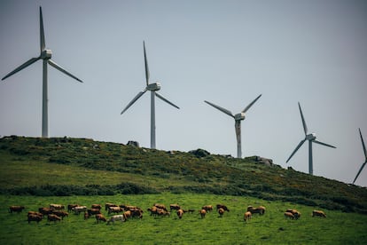 DVD1223 (29/07/24). Cedeira (A Coruña). Sociedad. Energía eólica. Energias renovables. Vistas del Parque Eólico Serra da Capelada, Cedeira (A Coruña)./ ÓSCAR CORRAL (EL PAÍS).