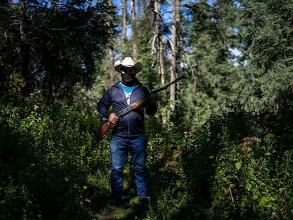 Un miembro de la guardia forestal comunitaria de Crescencio Morales, en Michoacán, posa con su escopeta en los bosques de la Reserva de la Biosfera de la Mariposa Monarca, el 8 de diciembre de 2021.