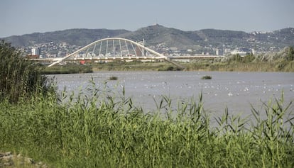 Vista del riu Llobregat amb la ciutat de Barcelona al fons.