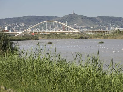 Vista del riu Llobregat amb la ciutat de Barcelona al fons.