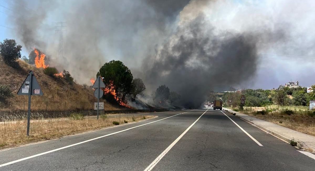 El fuego amenaza la M-501 a la altura de San Martín de Valdeiglesias, elpasado 31 de julio.
