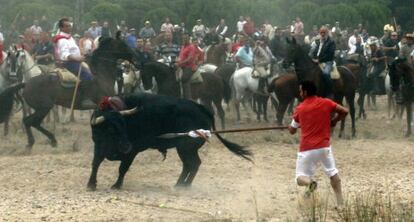 Imagen del Toro de la Vega de 2006.