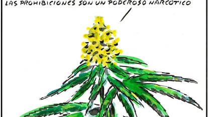 “Prohibitions are a powerful narcotic.”