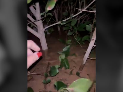 la dana en valencia