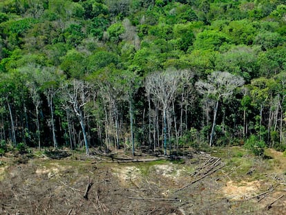 Deforestación en Mato Grosso, Brasil
