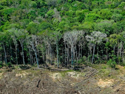 Imagem de arquivo mostra área de desmatamento em Mato Grosso em agosto de 2020.