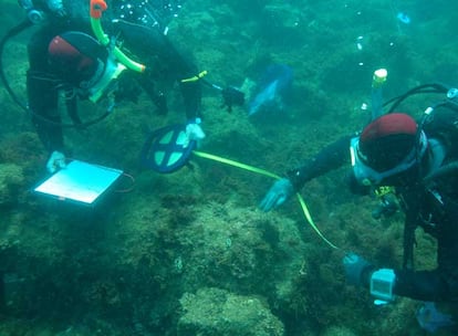 Divers from the Andalusian Center for Underwater Archeology working in the bay of Cádiz.