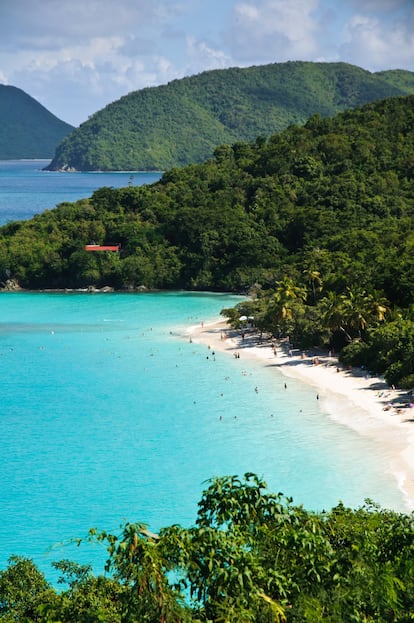 St. John es la más pequeña de las tres Islas Vírgenes de los Estados Unidos, en el mar Caribe, y aquí está Maho Bay Beach. Comparte con la mayoría de las playas de esta clasificación su blanca arena, pero en este caso jalonada por cocoteros que le otorgan el típico aspecto caribeño Su entrada poco profunda en el mar la hace perfecta para niños. Eso sí, su popularidad la convierte en un destino muy deseado y concurrido en temporada alta. Tortugas, rayas y pelicanos también la frecuentan.<br></br> Más información: stjohn-beachguide.com/maho-bay