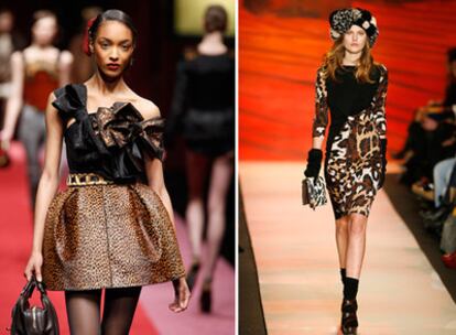 Modelo de Dsquared2 y de D&G
