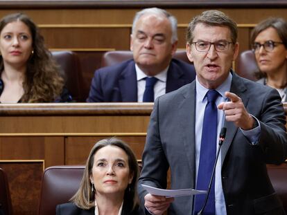 MADRID, 28/02/2024.- El líder del PP, Alberto Núñez Feijóo, interviene en la sesión de control al Gobierno, este miércoles en el Congreso. EFE/  Mariscal
