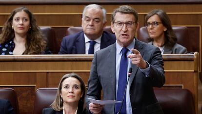 MADRID, 28/02/2024.- El líder del PP, Alberto Núñez Feijóo, interviene en la sesión de control al Gobierno, este miércoles en el Congreso. EFE/  Mariscal

