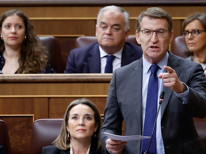 MADRID, 28/02/2024.- El líder del PP, Alberto Núñez Feijóo, interviene en la sesión de control al Gobierno, este miércoles en el Congreso. EFE/  Mariscal
