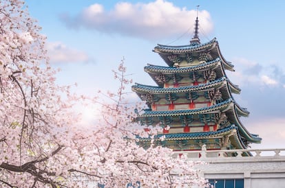 El palacio de Gyeongbokgung, en primavera.