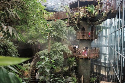 Naturaleza, tecnología y un montón de experimentos. El Universeum, inaugurado en 2001 en el centro de Gotemburgo, se presenta como el centro de ciencias más grande de los países nórdicos, con laboratorio de química y un espacio dedicado a la fantasía. En su acuario (más de tres millones de litros de agua) nadan tiburones, rayas, un enorme pez sierra, gran variedad de peces payaso y otros habitantes de los arrecifes de coral. La sala de la Selva Tropical (en la foto) es un cubo verde, cálido y húmedo, de 18.000 metros cuadrados, habitado por unas 600 especies diferentes de flora y fauna. <a href="https://www.universeum.se/es/" target="_blank">universeum.se</a>