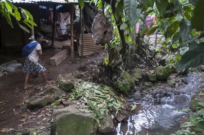 La casa donde nació Mario Constanza, el bebé que llegó al mundo con zika en abril de 2016, está construida a la orilla de un riachuelo, habitado por miles de mosquitos. En octubre de 2015 todos los miembros de esta familia presentaron los síntomas de una enfermedad tropical, ninguno acudió a los servicios de salud. 