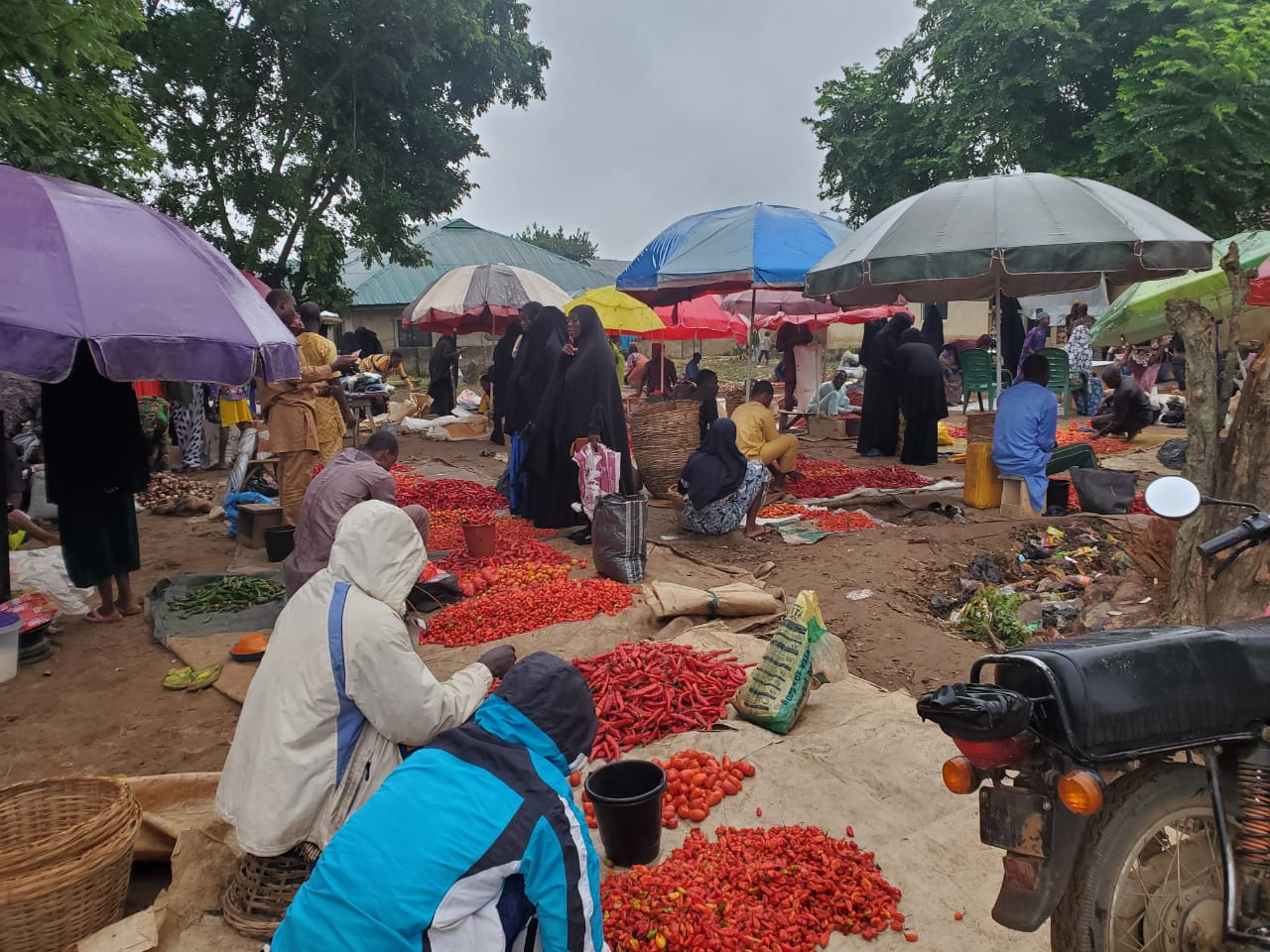 Mercado del gran Muftí, en Nigeria.