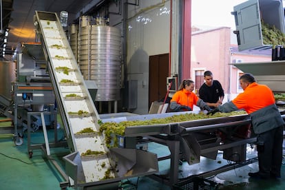 Bodega Cuatro Rayas ha implementado una estructura de trabajo piramidal para la gestión de sus vinos.