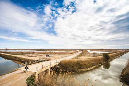 El paisatge del Delta és protagonista dels relats, els llocs canvien com canvien les maneres de viure-hi.