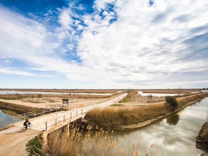 El paisatge del Delta és protagonista dels relats, els llocs canvien com canvien les maneres de viure-hi. 