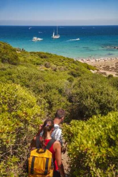 Camino de playa Tortuga, en el parque natural Sa Albufera des Grau (Menorca).