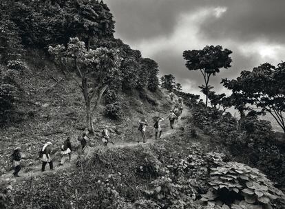 Recolectores en las laderas del volcán Chinchontepec, en El Salvador (2013).