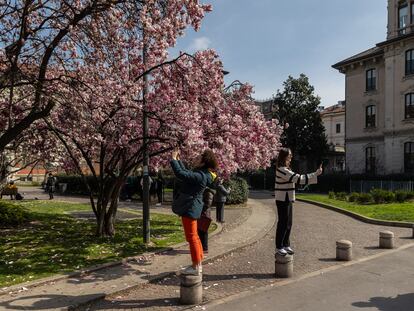 Two girls use their phones to take a photo of the flowering trees in Piazza Tommaseo on March 14, 2024 in Milan, Italy.