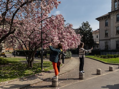 Dos niñas usan su teléfono móvil para tomar una fotografía de los árboles florecientes de en Piazza Tommaseo el 14 de marzo de 2024 en Milán, Italia.