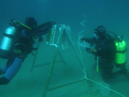 Dos buzos realizan un trabajo en el mar de validación experimental de la dinámica marina.
