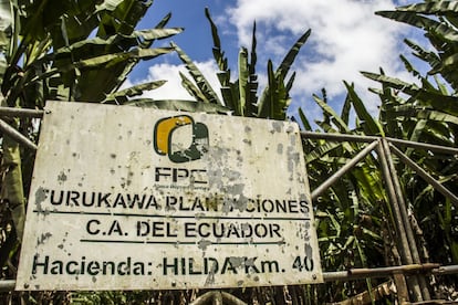 Furukawa Plantaciones C. A. del Ecuador se fundó en 1963, cuando el empresario japonés Yoshizo Furukawa introdujo en el país sudamericano la semilla de abacá. Con un patrimonio neto que supera los 15 millones de dólares, Furukawa es la principal exportadora de abacá en Ecuador, país que a su vez ocupa la segunda posición mundial. Esta compañía, propiedad de la corporación nipona FPC Marketing Co. Ltd., se ha negado sistemáticamente a reconocer los derechos de sus trabajadores. En la foto, uno de sus campamentos cerrados bajo candado.