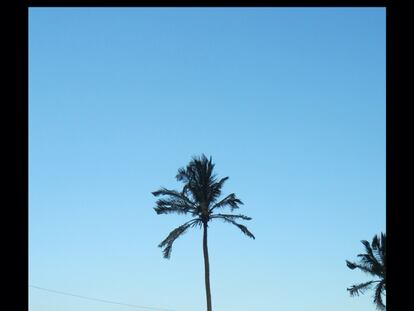 Viajeros mentales y otros relatos orales