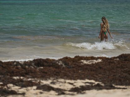 Una turista en una playa cubierta de sargazo, en Playa del Carmen, el 22 de marzo de 2022.