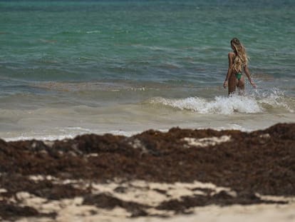 Una turista en una playa cubierta de sargazo, en Playa del Carmen, el 22 de marzo de 2022.