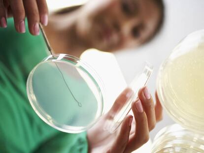 Una joven investigadora realiza una técnica de cultivo celular en un laboratorio.