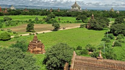 La llanura de Bagan, con sus templos budistas sobresaliendo entre la vegetaci&oacute;n.