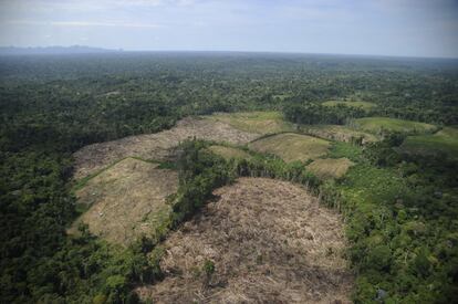 Incluso las llamadas Áreas de Zona de Amortiguamiento, en el parque Sierra del Divisor, han sido deforestadas pese a la prohibición existente. El panorama aéreo es desolador.