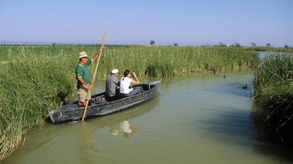 Travesía a bordo de una tradicional barca de 'perxa' en el delta del Ebro.