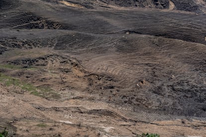 Embalse de Chuza, el 16 de abril de 2024.