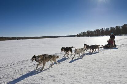 Hossa, en la provincia de Oulu, en la Laponia finlandesa, proviene de una antigua palabra sami que significa “un lugar muy lejano”. Cuenta con las pinturas rupestres más antiguas del norte de Finlandia (en Värikallio), y ofrece muchas posibilidades de turismo activo; desde pesca o piragüismo en sus lagos y ríos hasta una red de senderos que discurren por sus frondosos bosques. El impresionante entorno natural de Hossa será declarado parque nacional en 2017, cuando Finlandia celebre el centenario de su independencia.