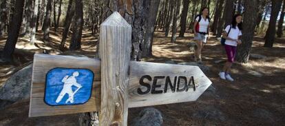 Se&ntilde;alizaci&oacute;n de sendas no homologada en La Pedriza, en el parque regional de la Cuenca alta del Manzanares.