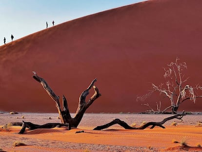 Paisaje de dunas en un desierto en Namibia.