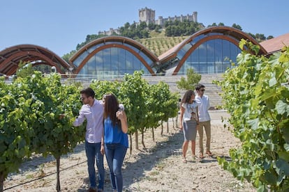 Paseo entre viñedos de la bodega Protos, en Peñafiel (Valladolid).