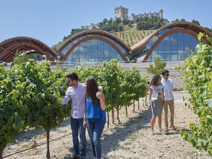 Paseo entre viñedos de la bodega Protos, en Peñafiel (Valladolid).