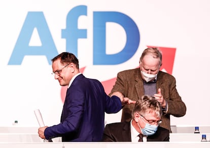 AfD Alemania