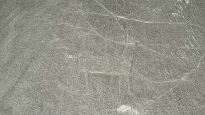 Geoglifos Nazca Peru