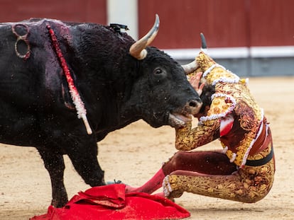 El toro zarandea espectacularmente al diestro Roca Rey.